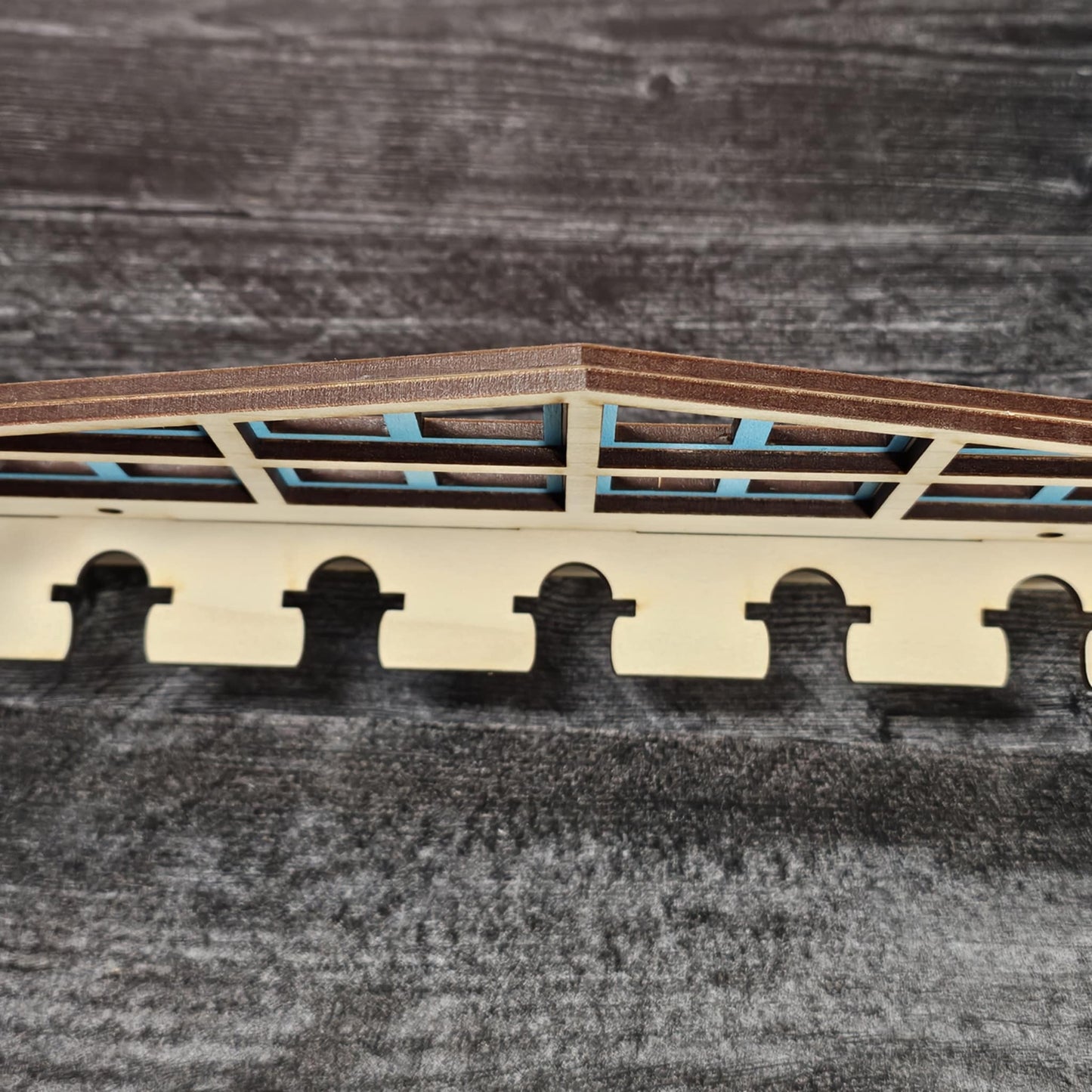 Cactus Keychain Holder