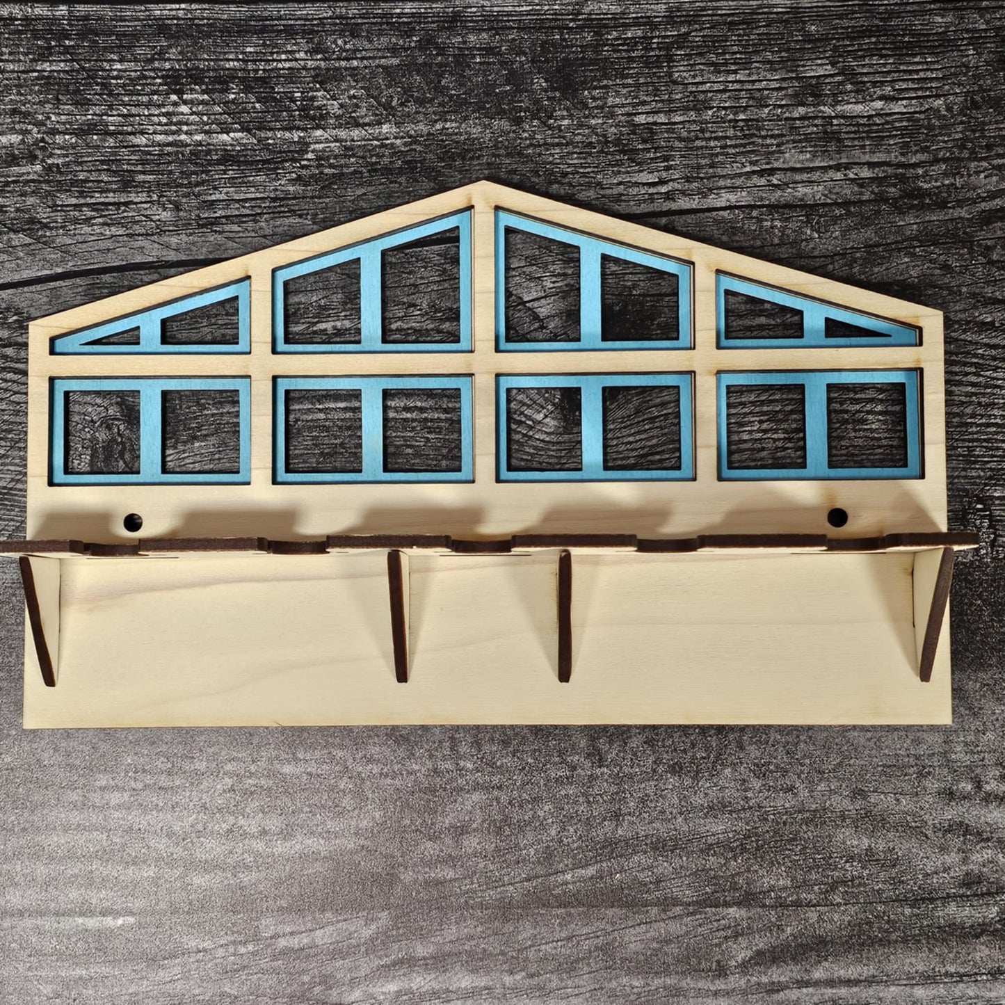 Cactus Keychain Holder