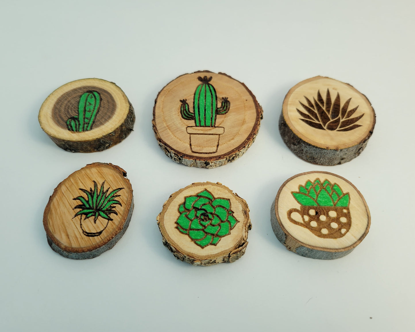 Succulent Magnets