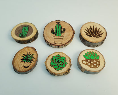 Succulent Magnets