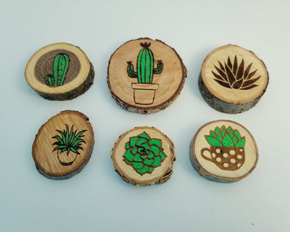 Succulent Magnets