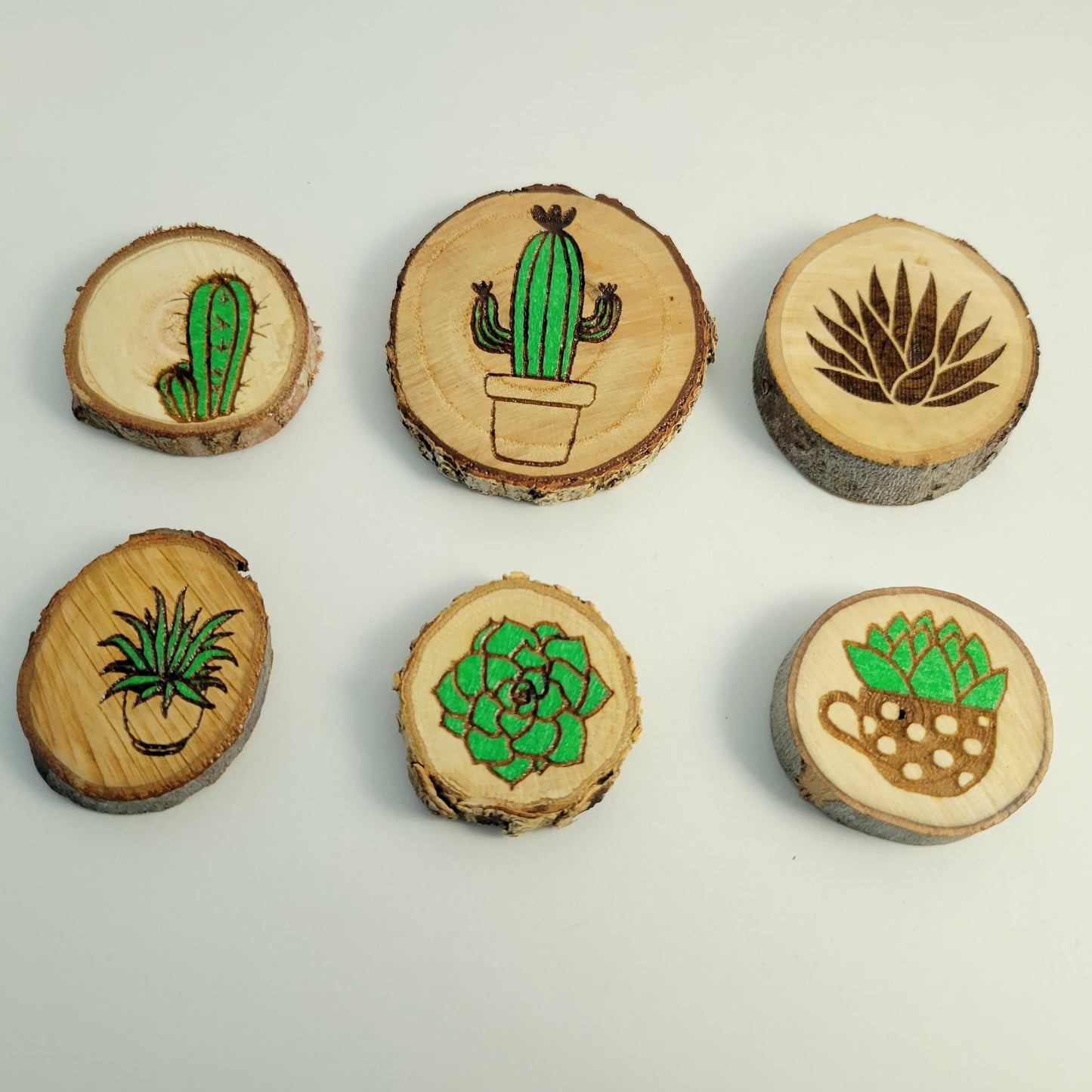 A set of six wooden magnets with various succulent plant designs, presented on a white background.