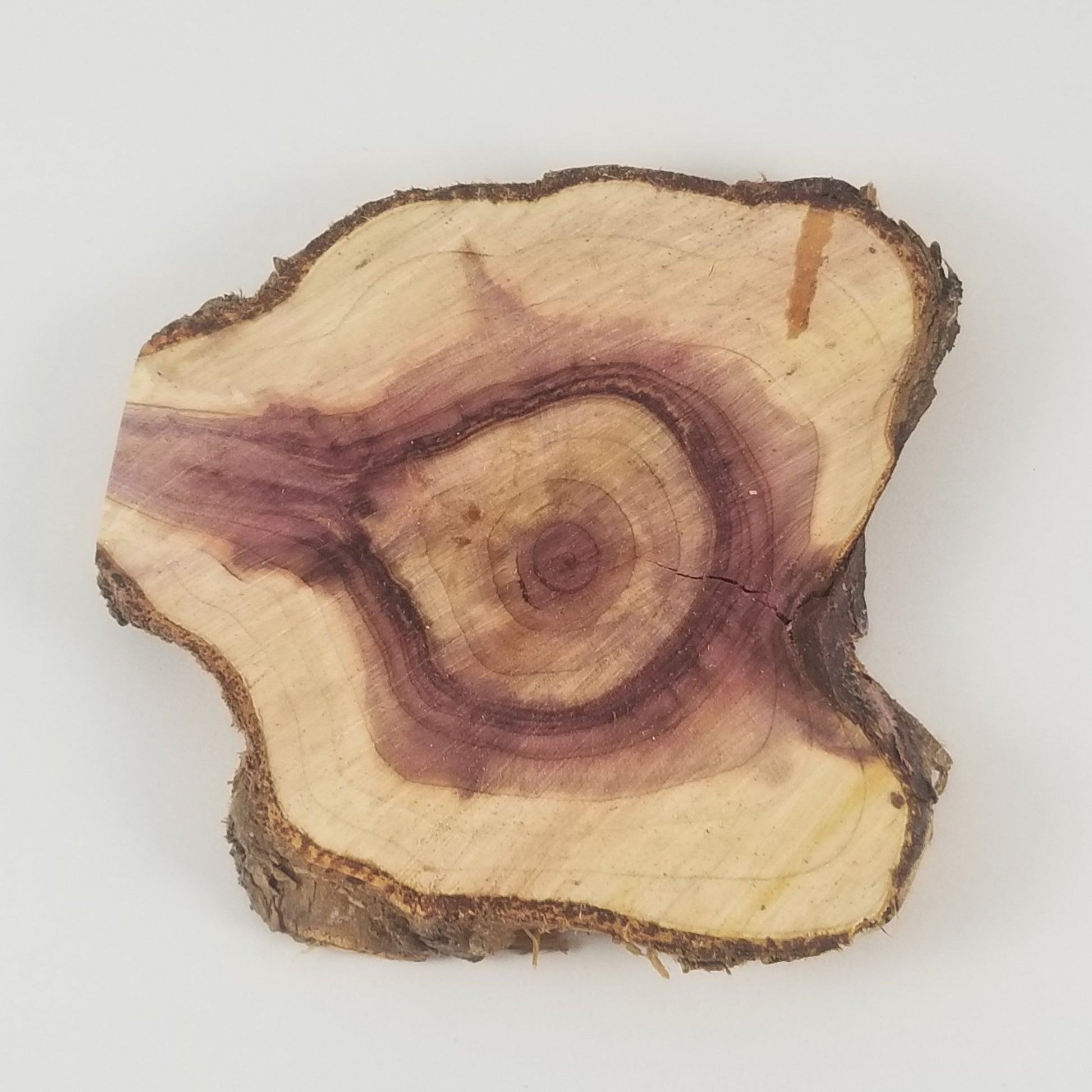 Wooden stump with visible grain and texture on a white background