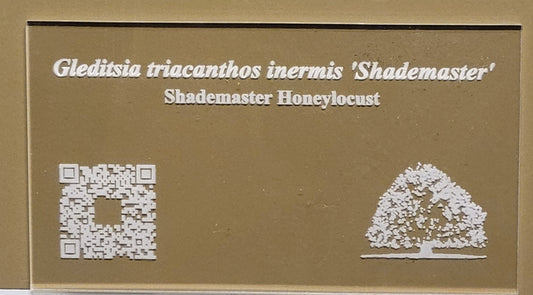 Engraved Clear Acrylic Sign